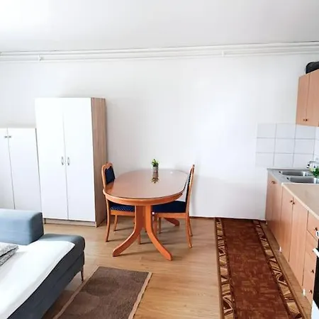 Quiet And Renovated Free Parking Free Wifi Laibach